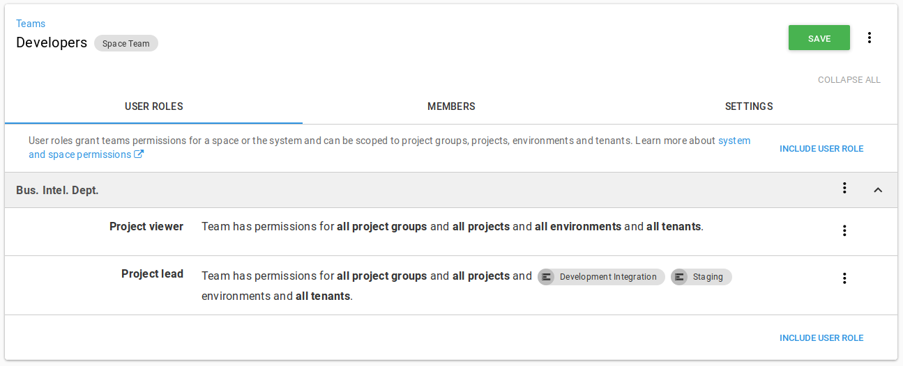Defining scope for a user role in a team